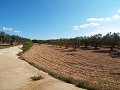 Groot landhuis, op loopafstand van de stad in Spanish Fincas