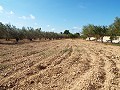 Grande maison de campagne, à distance de marche de la ville in Spanish Fincas