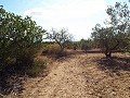 Grande maison de campagne, à distance de marche de la ville in Spanish Fincas