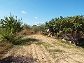 Groot landhuis, op loopafstand van de stad in Spanish Fincas