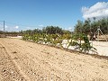 Grande maison de campagne, à distance de marche de la ville in Spanish Fincas