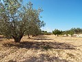 Groot landhuis, op loopafstand van de stad in Spanish Fincas