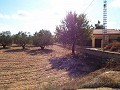 Grande maison de campagne, à distance de marche de la ville in Spanish Fincas