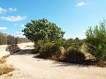 Groot landhuis, op loopafstand van de stad in Spanish Fincas