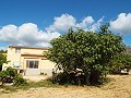 Grande maison de campagne, à distance de marche de la ville in Spanish Fincas