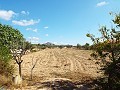 Grande maison de campagne, à distance de marche de la ville in Spanish Fincas