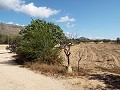 Groot landhuis, op loopafstand van de stad in Spanish Fincas