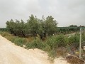 Grundstück in der Nähe von Alenda Golf in Spanish Fincas