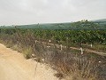 Terrain près d'Alenda Golf in Spanish Fincas