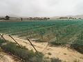 Terrain à bâtir près du Golf d'Alenda in Spanish Fincas