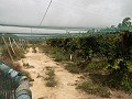 Terrain à bâtir près du Golf d'Alenda in Spanish Fincas