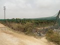 Terrain à bâtir près du Golf d'Alenda in Spanish Fincas