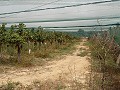 Terrain à bâtir près du Golf d'Alenda in Spanish Fincas