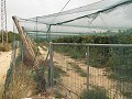 Terrain à bâtir près du Golf d'Alenda in Spanish Fincas