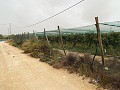 Terrain à bâtir près du Golf d'Alenda in Spanish Fincas