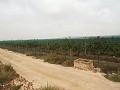 Terrain à bâtir près du Golf d'Alenda in Spanish Fincas