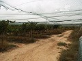 Double terrain à bâtir près du golf d'Alenda in Spanish Fincas