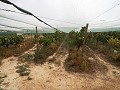 Double terrain à bâtir près du golf d'Alenda in Spanish Fincas