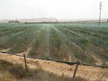 Double terrain à bâtir près du golf d'Alenda in Spanish Fincas