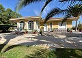 Beautiful 4 Bedroom Villa in Elda  in Spanish Fincas