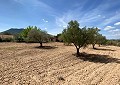 Mooie villa met 4 slaapkamers in Elda in Spanish Fincas