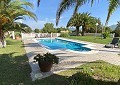 Beautiful 4 Bedroom Villa in Elda  in Spanish Fincas