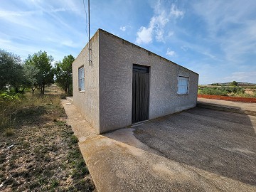 Grond in Sax met water en klein huis