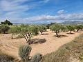 Grond in Sax met water en klein huis in Spanish Fincas