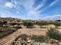 Land in Sax with water and casita in Spanish Fincas