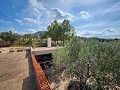 Grundstück in Sax mit Wasser und kleinem Haus in Spanish Fincas