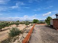 Land in Sax with water and casita in Spanish Fincas