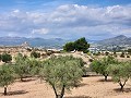 Grundstück in Sax mit Wasser und kleinem Haus in Spanish Fincas