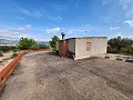 Terreno en Sax con agua y casita. in Spanish Fincas