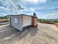 Terreno en Sax con agua y casita. in Spanish Fincas