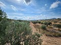 Grond in Sax met water en klein huis in Spanish Fincas