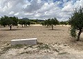 Villa de 4 chambres avec piscine à seulement 500 mètres à pied de la ville de Sax in Spanish Fincas