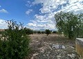 Villa de 4 chambres avec piscine à seulement 500 mètres à pied de la ville de Sax in Spanish Fincas