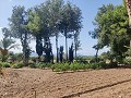 Landhaus mit Pool und Nebengebäuden in Spanish Fincas