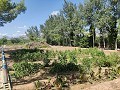 Landhaus mit Pool und Nebengebäuden in Spanish Fincas