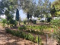 Country House with a pool and outbuildings in Spanish Fincas