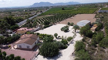 Two properties on one plot in Crevillente