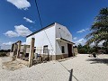 Deux propriétés sur un terrain à Crevillente in Spanish Fincas