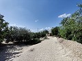 Deux propriétés sur un terrain à Crevillente in Spanish Fincas