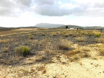 Grundstück zum Verkauf in Torre del Rico