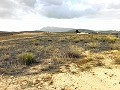 Terrain, à vendre à Torre del Rico in Spanish Fincas