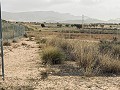 Terrain, à vendre à Torre del Rico in Spanish Fincas