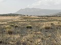 Grond, te koop in Torre del Rico in Spanish Fincas