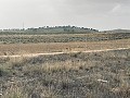 Terrain, à vendre à Torre del Rico in Spanish Fincas