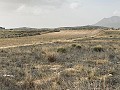 Terrain, à vendre à Torre del Rico in Spanish Fincas