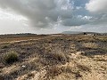 Terrain, à vendre à Torre del Rico in Spanish Fincas